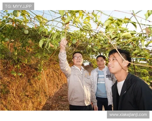 问鼎集团官网：企业社会责任与品牌形象塑造的深度分析